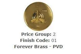 Brasstech 320/01 Lavatory Drain Forever Brass (PVD)