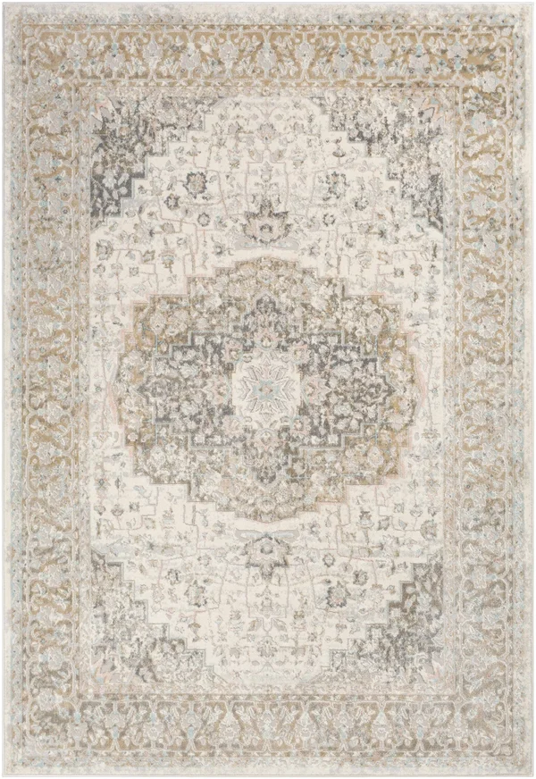 Surya Dryden DDN-2308 Area Rug - 6 ft 7 in x 9 ft 6 in
