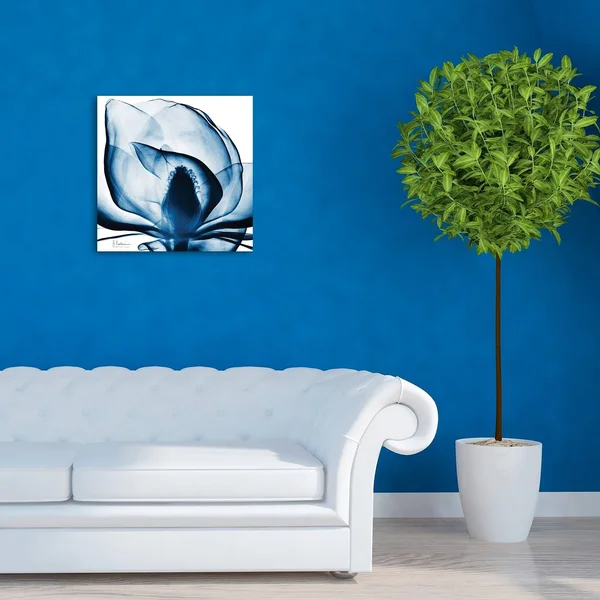 Porch & den Blue Magnolia X-Ray Frameless Floating Glass Panel Art