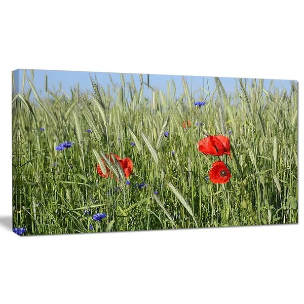 Design Art 'Rural Landscape with Red Poppies' Photographic Print on Wrapped Canvas