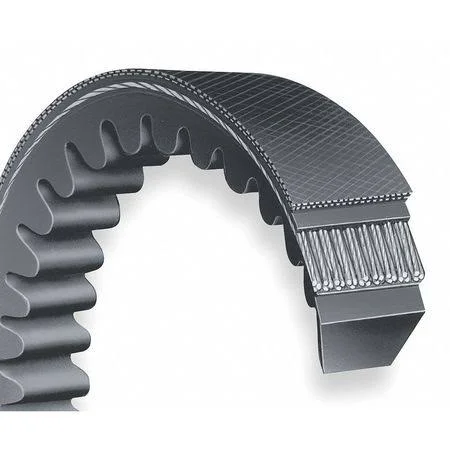 Dayton 6L312 V-Belt, Cogged, BX195