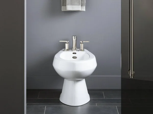 KOHLER K-4854-58 San Tropez Vertical Spray Bidet with 4 Faucet Holes, Thunder Grey