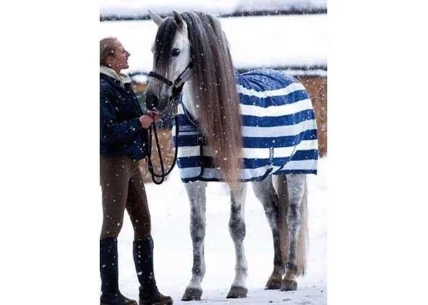 Rambo Deluxe Fleece