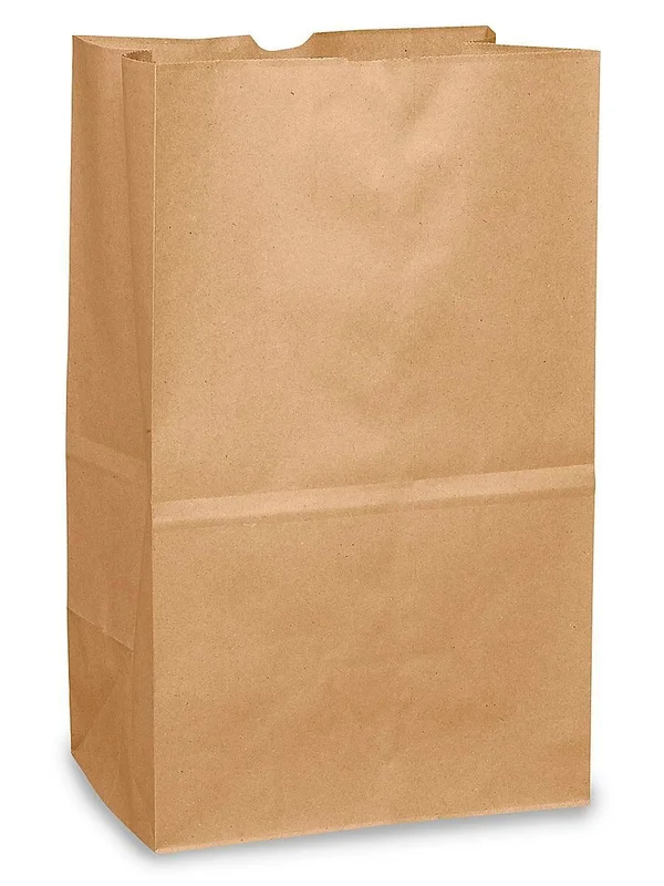 Paper Grocery Bags - 8 1/4 x 5 15/16 x 13 3/8