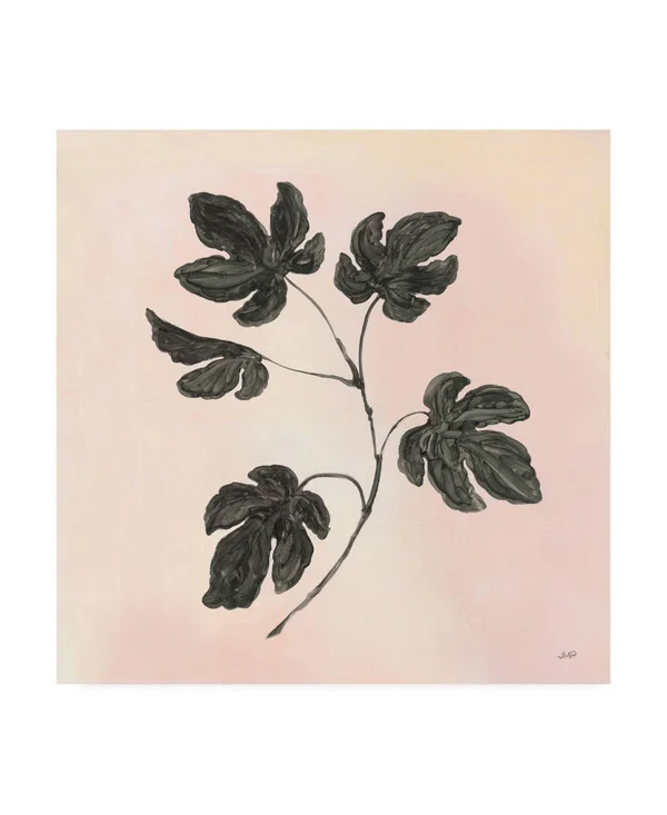 Trademark Art Julia Purinton 'Botanical Study III Blush' Canvas Art