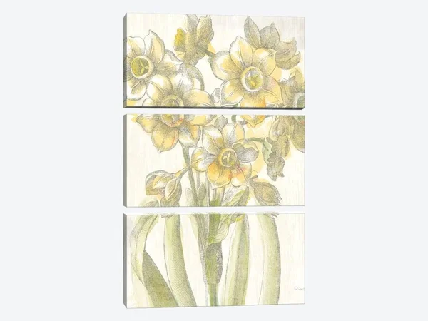 Sue Schlabach Large 3-Piece Canvas Print - Belle Fleur Jaune IV ( Floral & Botanical > Flowers > Daffodils art)