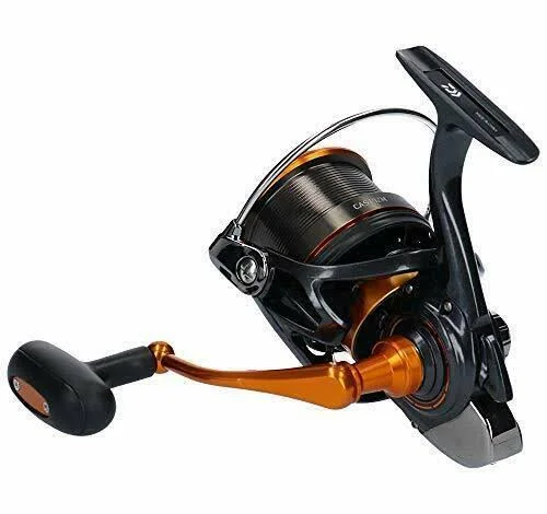 Daiwa 19 Castizm 25 QD