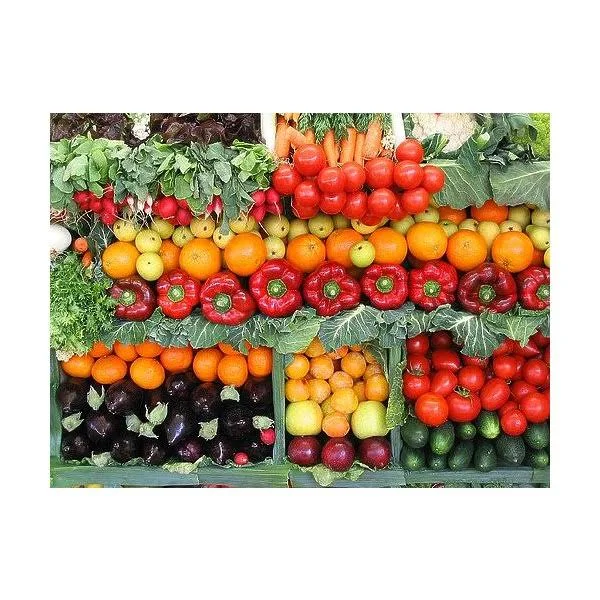 15, 000 Non GMO Heirloom Vegetable Seeds Survival Garden 32 Variety Pack by Open Seed
