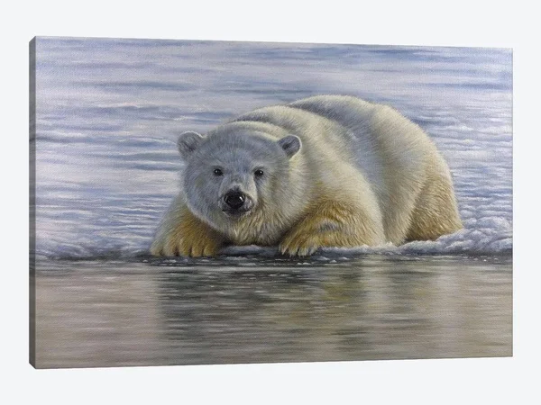 iCanvas Polar Bear by The Water Art by Richard Macwee Canvas Art Wall Decor ( Animal Art > wildlife > Bears > Polar
