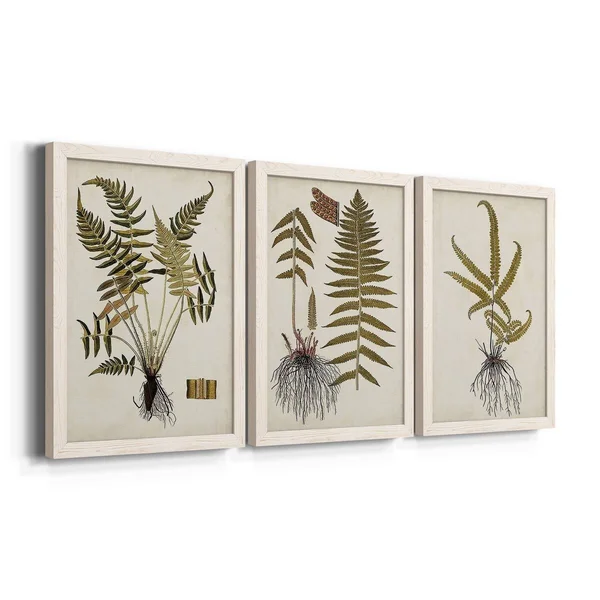 Fern Botanical IV-Premium Framed Canvas - Ready to Hang - Multi-Color - 23.5X31.5 - White