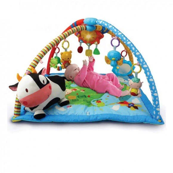 Vtech Blanket and Gym Sing 2 in 1