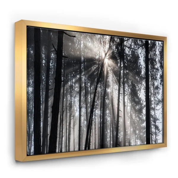 Designart Sunbeams Through Black White Forest- Forest Framed Canvas Wall Art Print in Gold - FL9987-46-36-GD