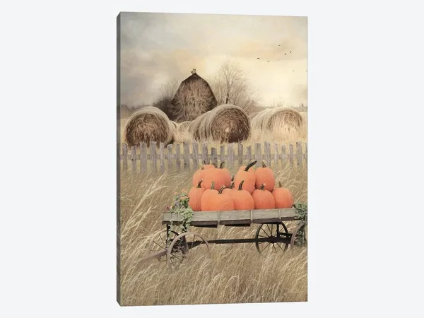 iCanvas Pumpkin Harvest Art by Lori Deiter Canvas Art Wall Decor ( Seasons > Autumn > Pumpkins art)