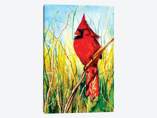Christine Reichow Canvas Art Prints - Balancing ACT ( Animal Art > Birds art)