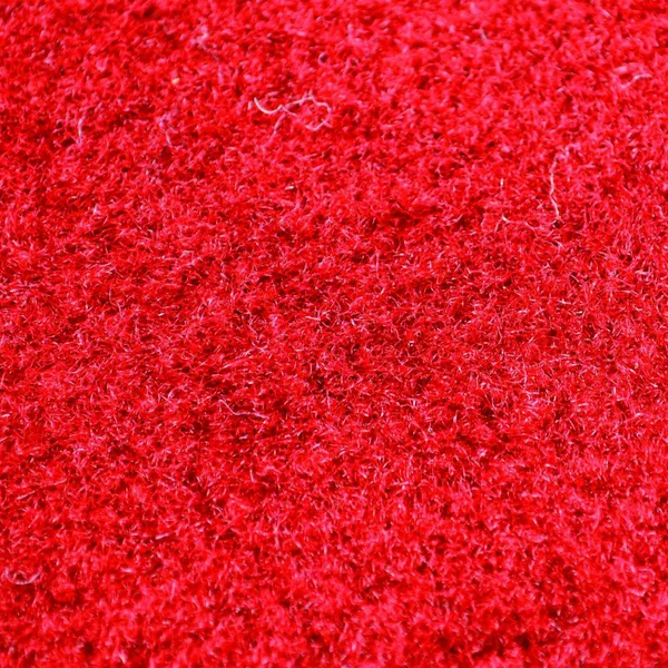 Appalachian State Ulti-Mat