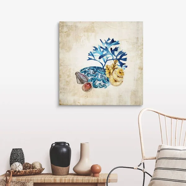 Sea Life II - Canvas Wall Art, 30x30, Great Big Canvas