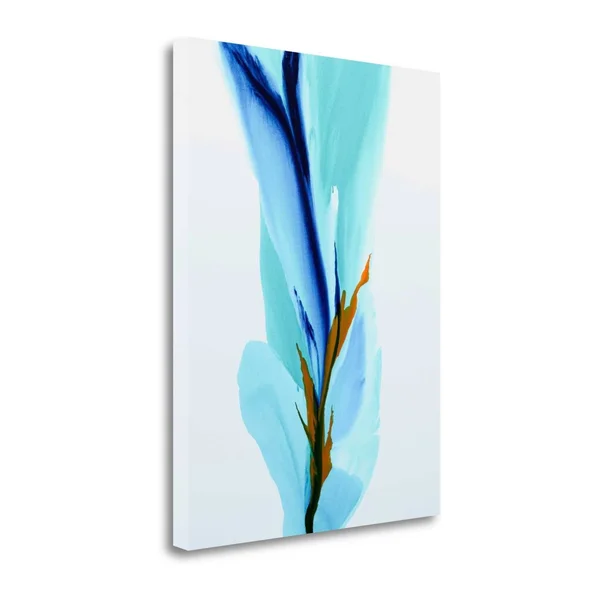 Spring&s Calling Card by Patricia Coulter, 25x22 x 33x22 Fine Art Giclee