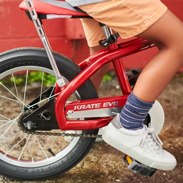 Schwinn Krate Evo 16x22 Kids& Bicycle - Red