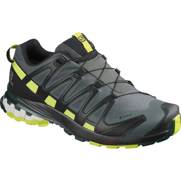 Salomon Men's XA Pro 3D V8 GTX Trail Running