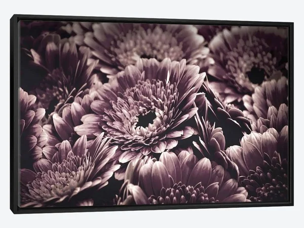 Framed Canvas Art - Opulent IV by Design Fabrikken ( scenic & landscapes > Nature > Nature close-ups > Floral cl