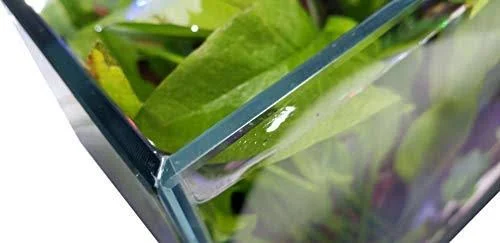 Lifegard Ultra Clear Crystal Aquarium, Medium