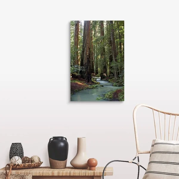 Redwood Forest III, Large Solid-Faced Canvas Wall Art Print, Great Big Canvas