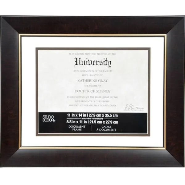 Studio Decor 8.5x22 x 11x22 Brown & Gold Document Frame with Mat - Each