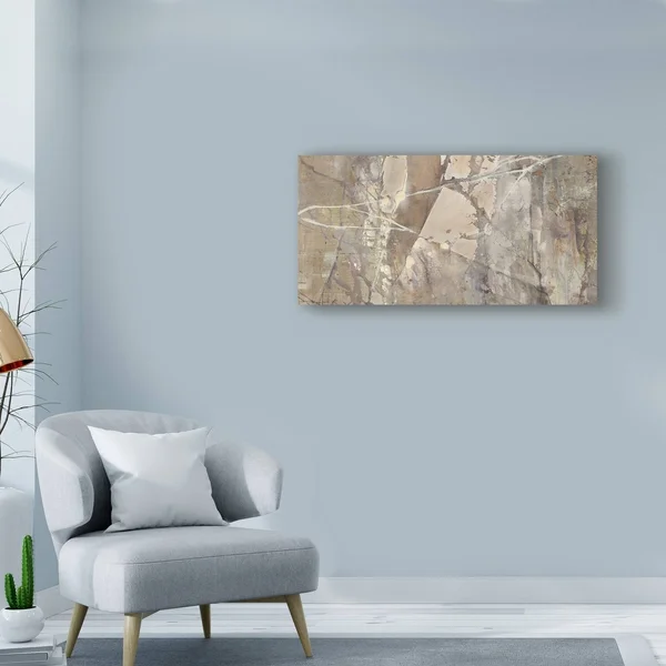 Trademark Fine Art 'Silver II Crop' Canvas Art by Albena Hristova, Size: 12 x 24