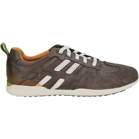 Geox, Sneakers, in Grey, for Men, SNAKE.2, Size: 47