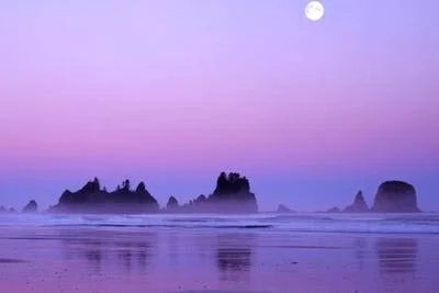 Charles Gurche Canvas Art Prints - Magnificent Sunset with Full Moon - Point of Arches, Shi Shi Beach, Olympic National Park, Was