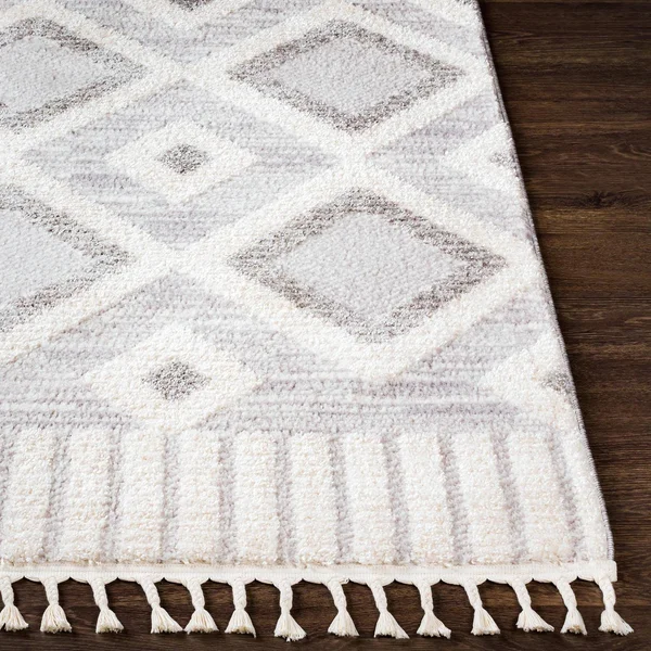 Valencia (Vlc-2312), 6& 7x22 x 9& Rug