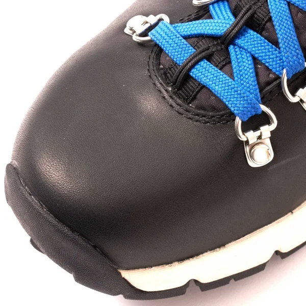 Danner Men's Mountain 600 Hiking Boot Black