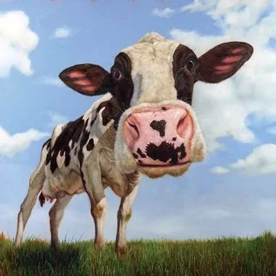 Framed Canvas Art (White Floating Frame) - Penelope by Lucia Heffernan ( Animal Art > Farm Animals > Cows art)
