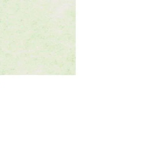 Mohawk Skytone Vellum Parchment Envelopes Spring Green Shade #10 Commercial Flap 4-1/8 x 9-1/2 Inches - 24W (89 Gsm), 500 Envelop