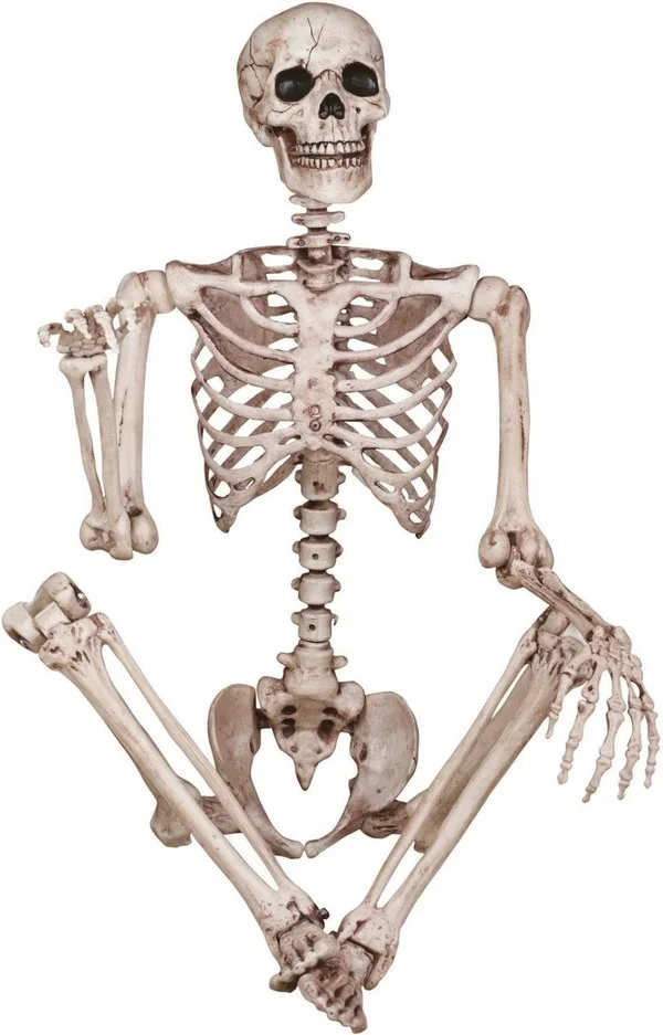 ThinkGeek Skeleton Poseable Halloween Decoration - Beige, 15.50" x 6.50" x 62"