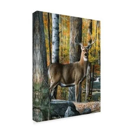 Trademark Fine Art Wag03256-C2432Gg Kevin Daniel 'Broken Silence' Canv