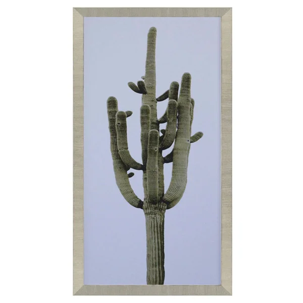 Saguaro II - Paragon 4150