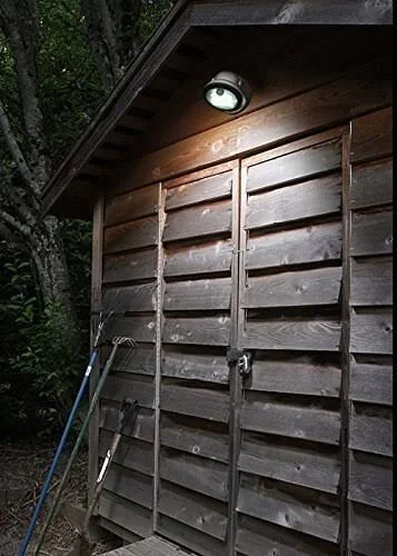 Light It! by Fulcrum 20036-101 12 LED Wireless Motion Sensor Weatherproof Porch Light - 2 Pack, Silver