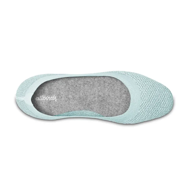 Allbirds Women's Tree Flats - Frost, Size 8.5