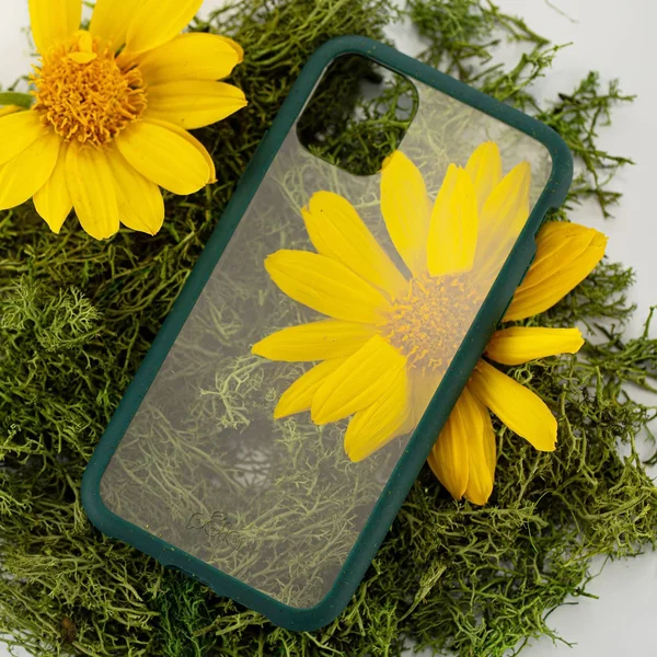 Pela Case Clear iPhone 11 Case with Green Ridge