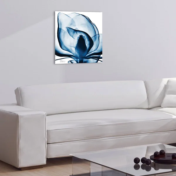 Porch & den Blue Magnolia X-Ray Frameless Floating Glass Panel Art