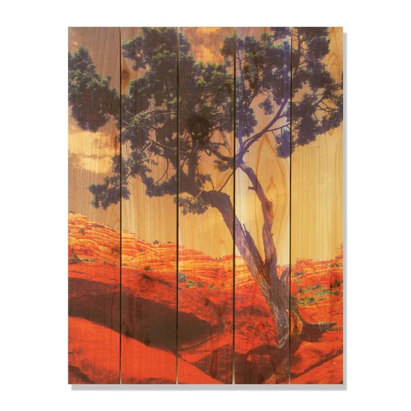 Gizaun Art Desert Tree Indoor/Outdoor Full Color Cedar Wall Art