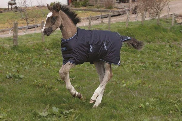 Amigo Foal Turnout Blanket