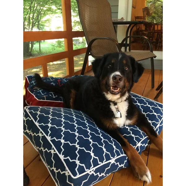 Snoozer Garden Gate Navy Rectangular Pet Bed - Large