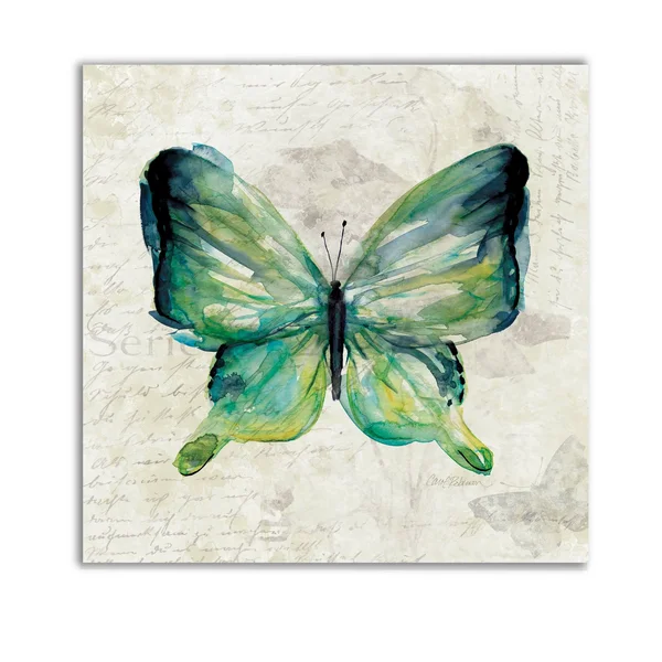 Wexford Home Butterfly Sketch II -Gallery Wrapped Canvas - Yellow - Blue, Green, Red, Black, White 16x16, Size: 16 x 16