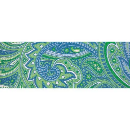Country Brook Design 2 inch Green Paisley Polyester Webbing, 20 Yards