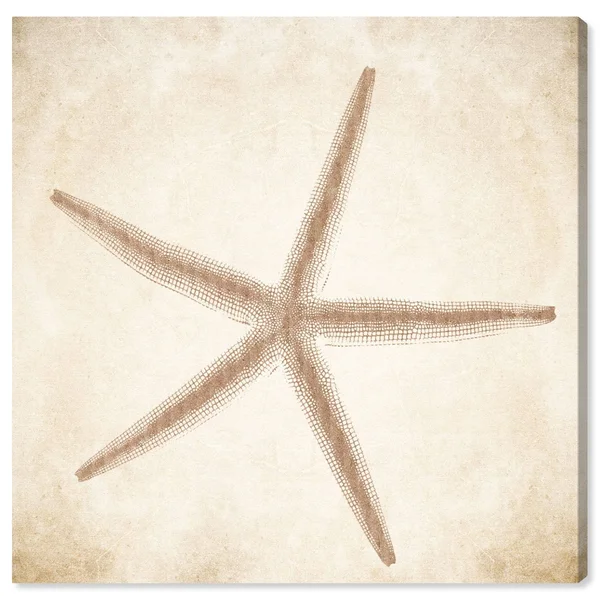 Oliver Gal Starfish Canvas 40x22 Square Wall Art in Beige
