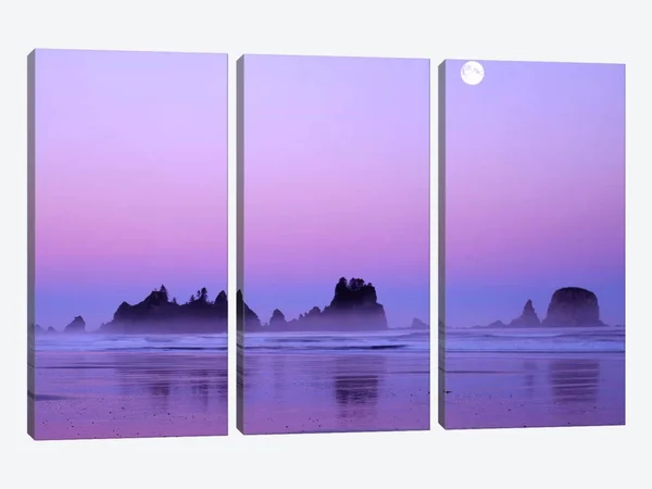 Charles Gurche Canvas Art Prints - Magnificent Sunset with Full Moon - Point of Arches, Shi Shi Beach, Olympic National Park, Was