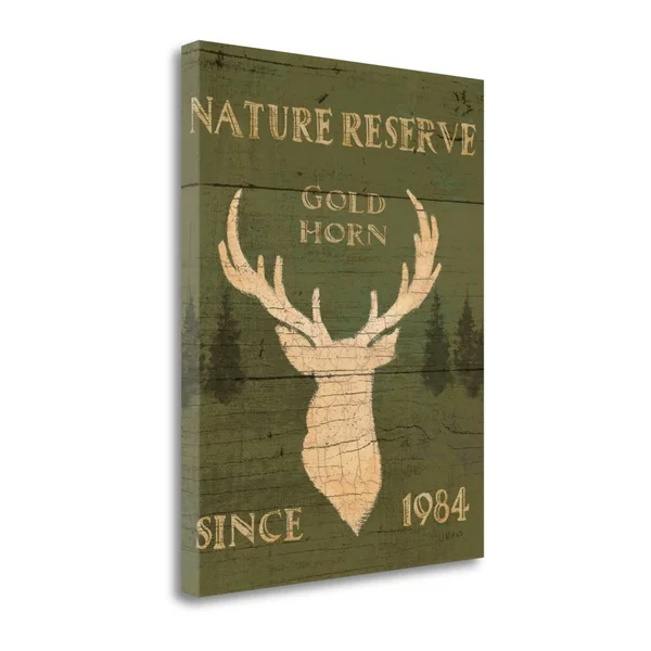 23x22 x 18x22 Lodge Signs IX Green by James Wiens Fine Art Giclee Print