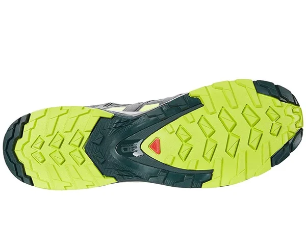 Salomon Men's XA Pro 3D V8 GTX Trail Running